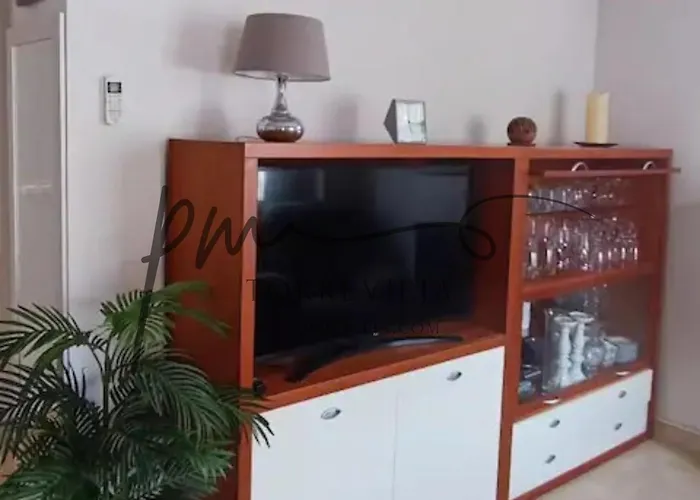 Quadro-pool-barbeque-torrevieja-pmt07 Сasa de vacaciones *